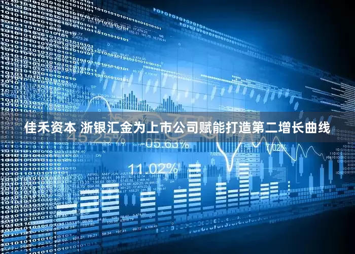 佳禾资本 浙银汇金为上市公司赋能打造第二增长曲线