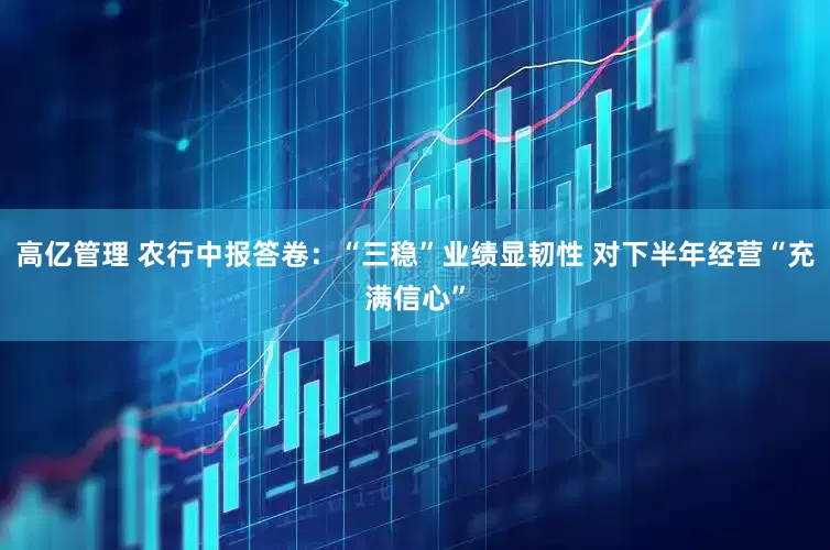 高亿管理 农行中报答卷：“三稳”业绩显韧性 对下半年经营“充满信心”