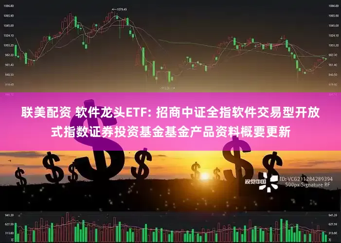联美配资 软件龙头ETF: 招商中证全指软件交易型开放式指数证券投资基金基金产品资料概要更新